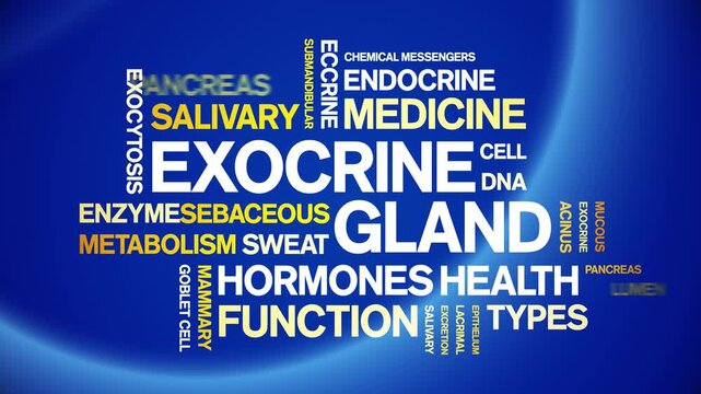 Exocrine Gland animated word cloud-animation tag kinetic typography seamless loop.