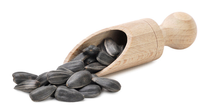 Sunflower seeds pouring from a wooden spatula on a white background. Isolated
