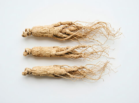 Three dried ginseng roots arranged horizontally isolated on white background
