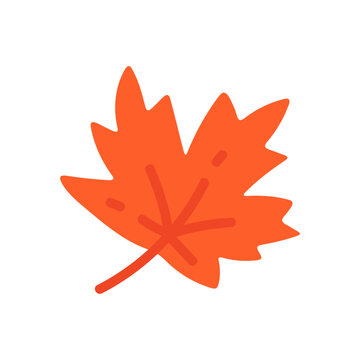 Vibrant Orange Autumn Maple Leaf Illustration for Fall Season Design and Nature Concepts