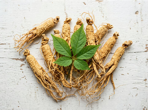 Dried ginseng roots with a fresh green leaf arranged on a rustic white wooden background