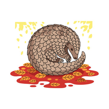 A cute cartoon illustration of a curled up pangolin sitting on autumn leaves.