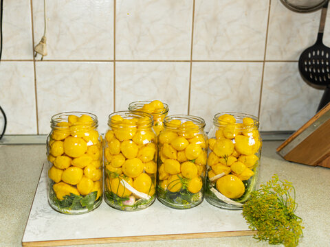 Rows of Homemade Pattypan Squash Preserves in Glass Jars. A row of glass jars containing small yellow pattypan squash stands on a light kitchen surface, accompanied by fresh dill. The composition show