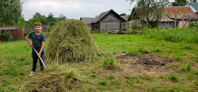 Young boy standing proudly while raking fresh hay into a haystack in a rustic village setting, representing childhood chores and traditional farming practices.