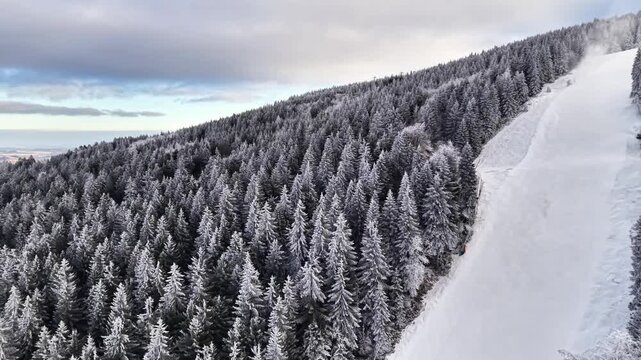 Aerial Frosted Fir Forest Beside Slope, Distant Valley Light, Crisp Winter Air, Empty Run Edge, Panoramic