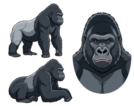 vector illustration of gorilla