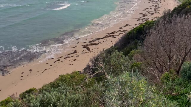 High Angle View of Coastal Beach and Native Shrubbery