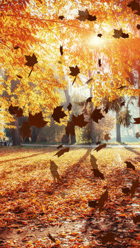 Vertical Falling Autumn Leaves Overlay &ndash; Seamless Loop Transparent Leaf Effect 3 Styles for Short-Form Video