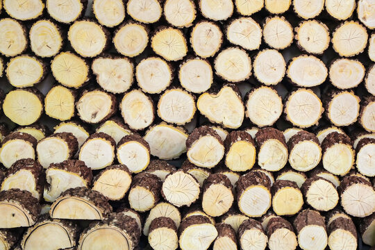 Thanaka is a natural cosmetic and therapeutic paste sourced primarily from the bark of the wood-apple tree. 