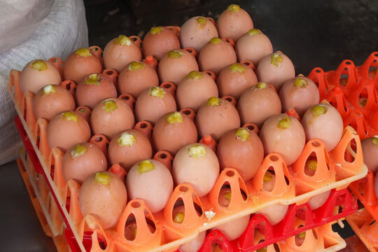 Myanmar, a popular culinary specialty of street cooking in traditional grilled eggs.