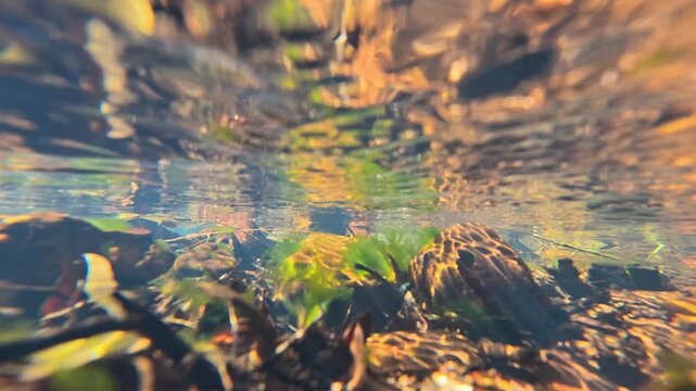 Underwater View of Clear Stream Bed with Rocks and Sunlight