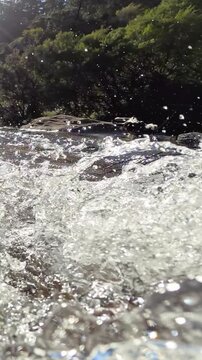 Sunlit Rushing Water and Splashing Creek in Blue Mountains National Park