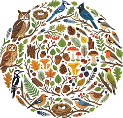 Obraz premium Woodland birds and forest elements arranged in a circular pattern vector illustration