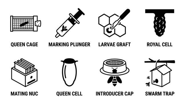 Bee queen rearing and breeding equipment icons for apiary management and colony reproduction with beekeeping breeding grafting swarming reproduction management equipment introducter biological