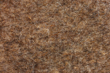 Close up texture of natural felt wool fabric © Iryna Miadzvedzeva