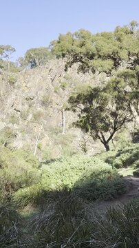 A girl walks through the powerful canyon along the Werribee Gorge Circuit Walk, in Werribee Gorge State Park, near Melbourne, Victoria, Australia.