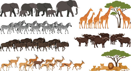 Fototapeta premium African Safari Animals grouped in herds during daylight vector illustration with savanna trees
