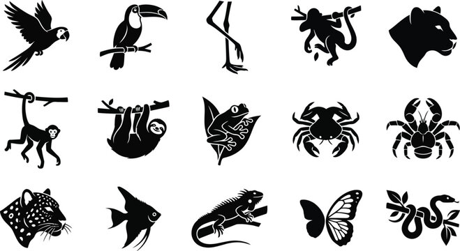 Set of black silhouette rainforest animal icons on white background