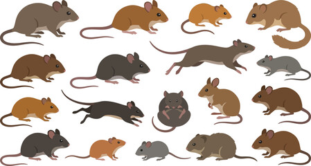 Obraz premium Diverse Rodent Collection with Varied Poses Against White Background Vector Illustration