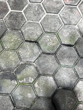 Hexagonal paving stones with moss and dirt texture during daytime outdoor lighting
