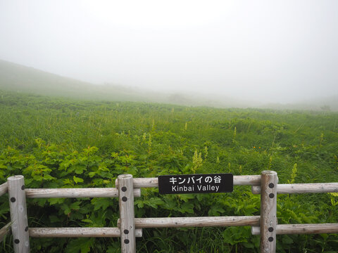 霧で何も見えないキンバイの谷