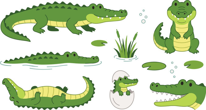 Cute green crocodile vector character set featuring swimming sleeping hatching baby alligator icons on white background.