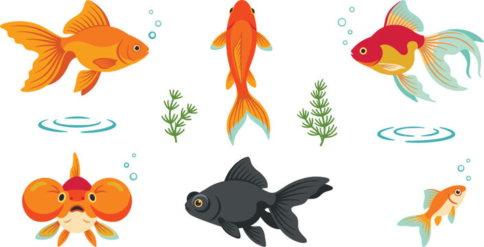 Goldfish vector icons collection featuring orange comet black moor telescope eye and fancy aquarium fish breeds on white background.