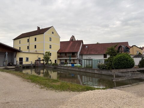 Eine Kuhherde sucht Schutz vor der Hitze im Schatten der B&auml;ume	