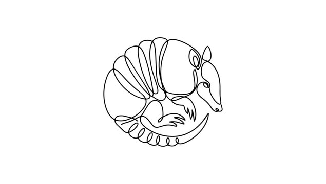 Simple doodle line art gracefully displaying wild armadillo curled up protecting its hard shell
