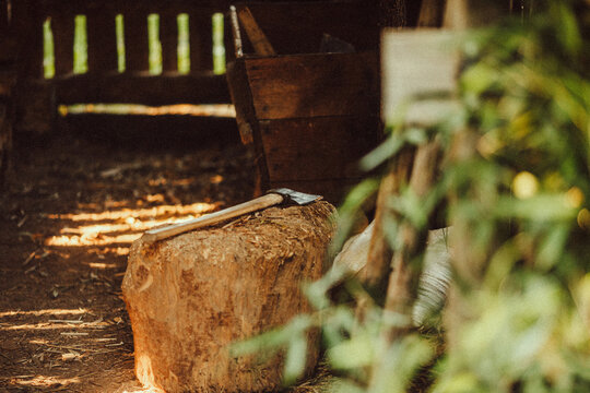 Rustic wood chopping block with an axe inside a barn yard under warm sunlight