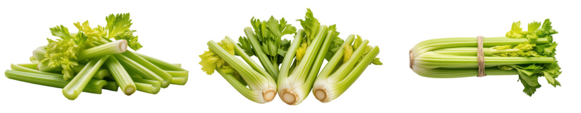 Three arrangements of fresh celery stalks with green leaves, isolated on a white background
