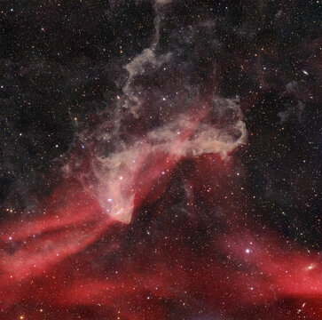 Gecko Nebula