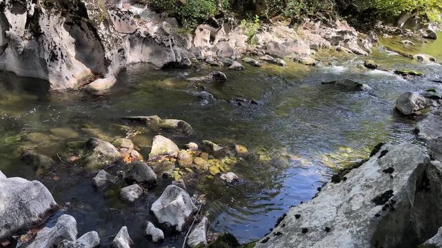 Mountain stream flows into a calm natural pool surrounded by white rocks, with clear green water and gentle ripples in the sunlight.