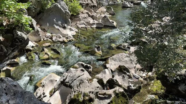 Top view of a clear mountain stream flowing between rocks, with the pleasant sound of running water and leaves gently moving in the breeze.