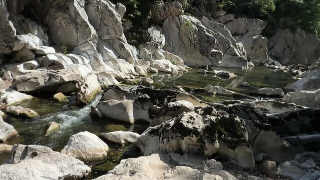 Clear mountain stream flowing gently among white rocks, with the pleasant natural sound of running water.