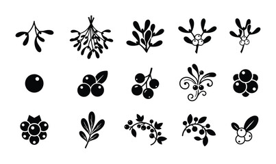 Obraz premium Berry and mistletoe icon set for winter and holiday design outline, solid and color styles, white background