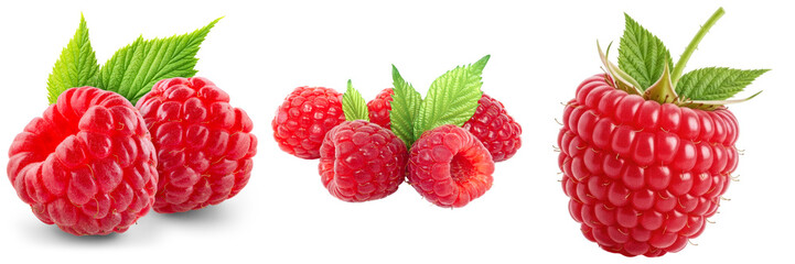 Collection of fresh raspberries with green leaves, isolated on transparent background © HoangHiep