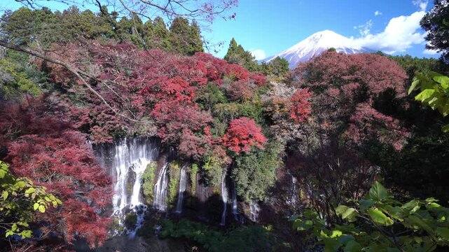 静岡県富士宮市　紅葉の白糸の滝
