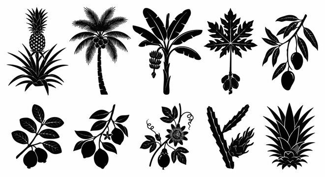 Set of ten black silhouette icons featuring various tropical trees and exotic fruits including pineapple palm tree banana tree papaya and mango for nature and food design projects