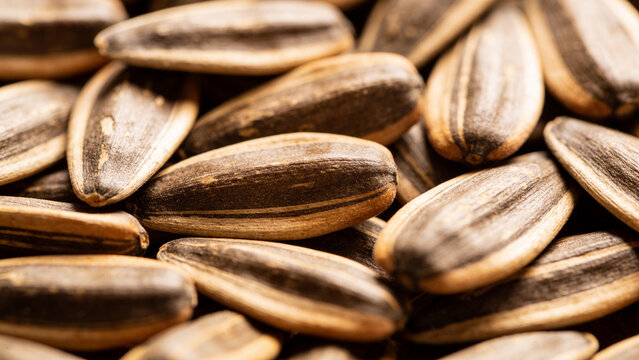 Sunflower seeds as by-products of agriculture in a closeup view