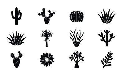 Obraz premium Desert plants icon set cactus, aloe, succulent outline, solid and color styles