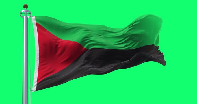 Flag of Martinique waving in the wind isolated on green background