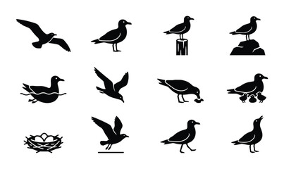 Fototapeta premium Seagull Icons, Bird Silhouettes, Wildlife Vector Set: Flying, Swimming, Nesting