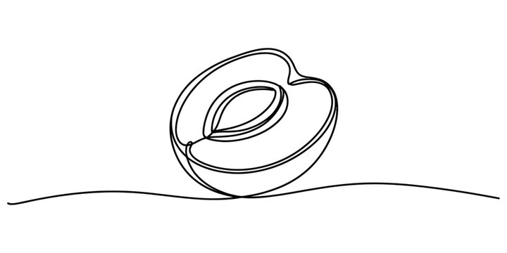Continuous line drawing half peach fruit with seed for healthy organic food branding and diet labels.