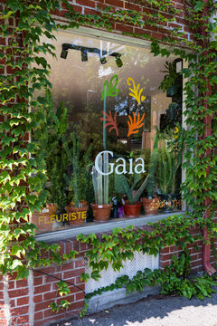 Montreal, Quebec, Canada, August 24, 2026 - Pretty window of local independent florist Gaia in red brick building in the Rosemont neighbourhood