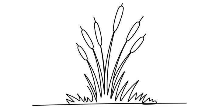 Continuous line art of wild bulrush cattail plants growing in a marsh for nature design templates.