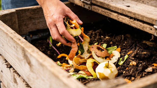 Utilizing agricultural waste by adding food scraps for compost production