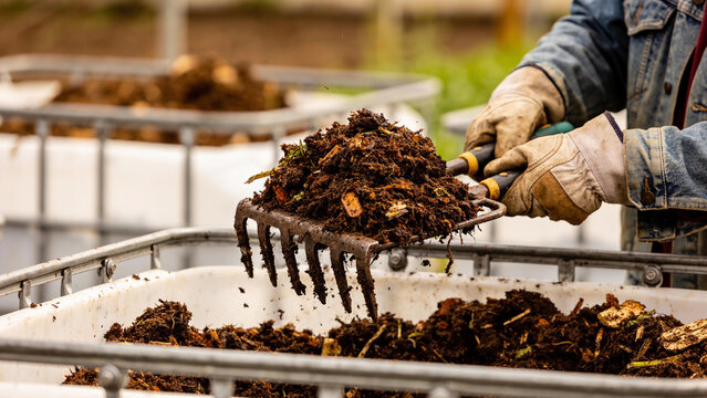 Using agricultural waste to create organic fertilizer in a circular economy
