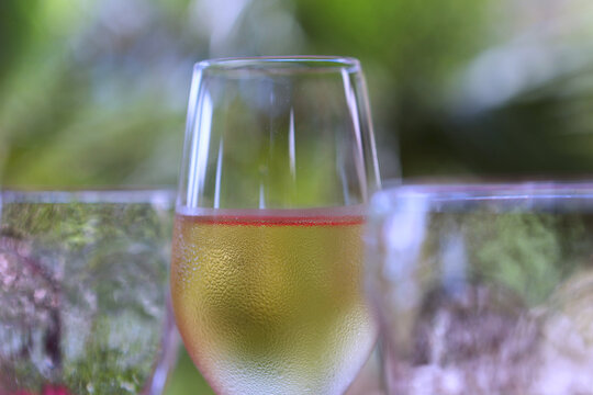 Glass with refreshing drink against backdrop of tropical plants. Blurred green background. Outdoor summer party