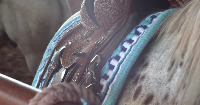 A western saddle and patterned blanket on a spotted horse at a Texas ranch, showing equestrian preparation, craftsmanship, and authentic cowboy culture.